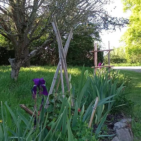 Pensjonat D'hotes Les Cabris Verneix